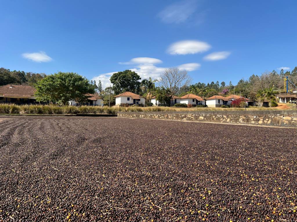 terreiro de café pousada do café