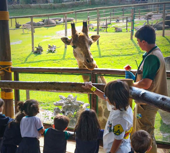animalia-park