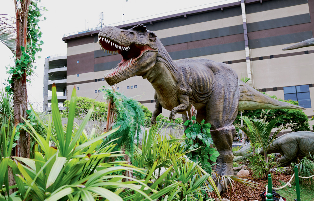 t-rex-park