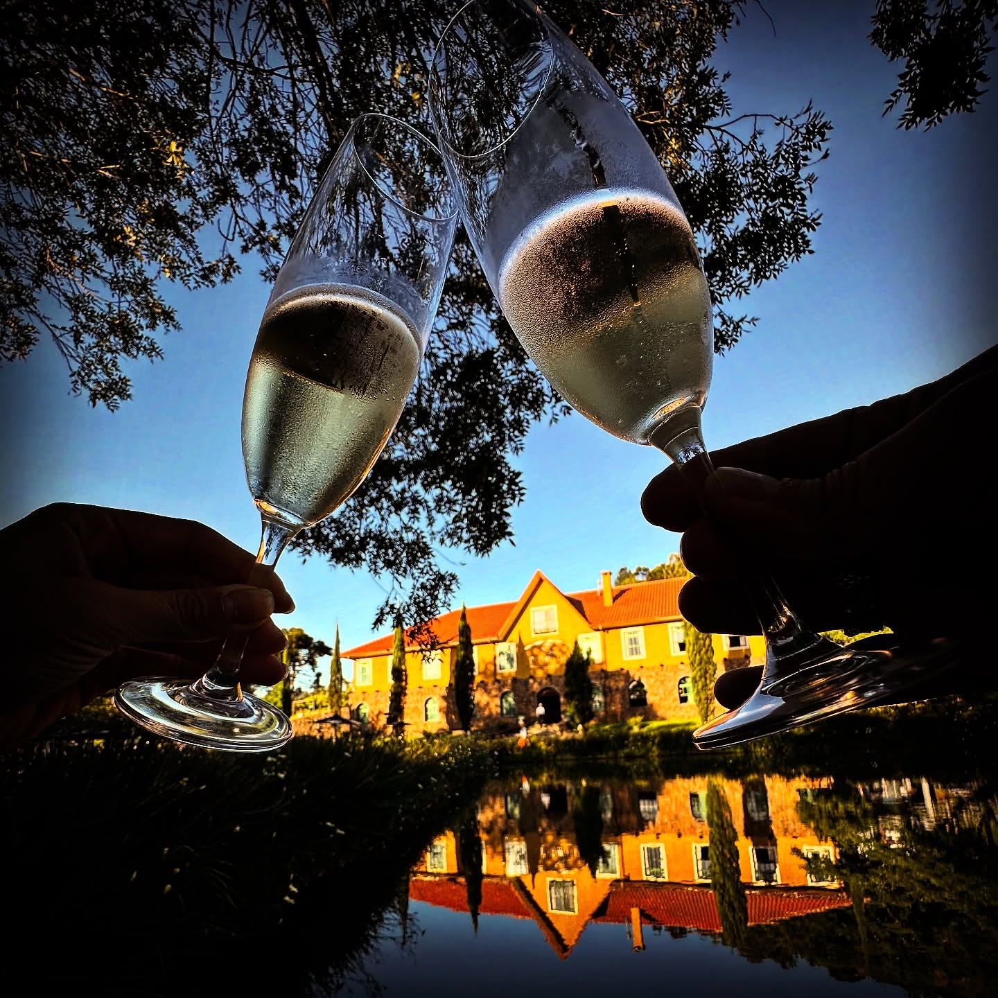 vinicola-ravanello-gramado