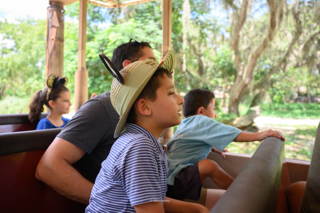 Kilimanjaro Safaris – Disney’s Animal Kingdom Theme Park