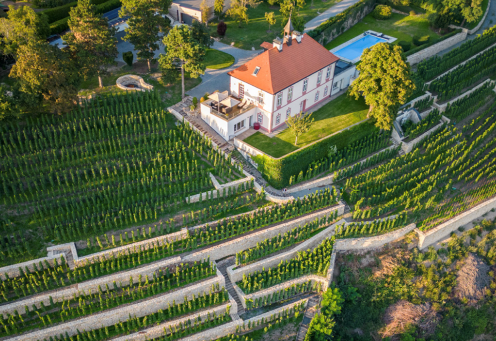 vinhedo privado em Černý Kopec Jabloňka
