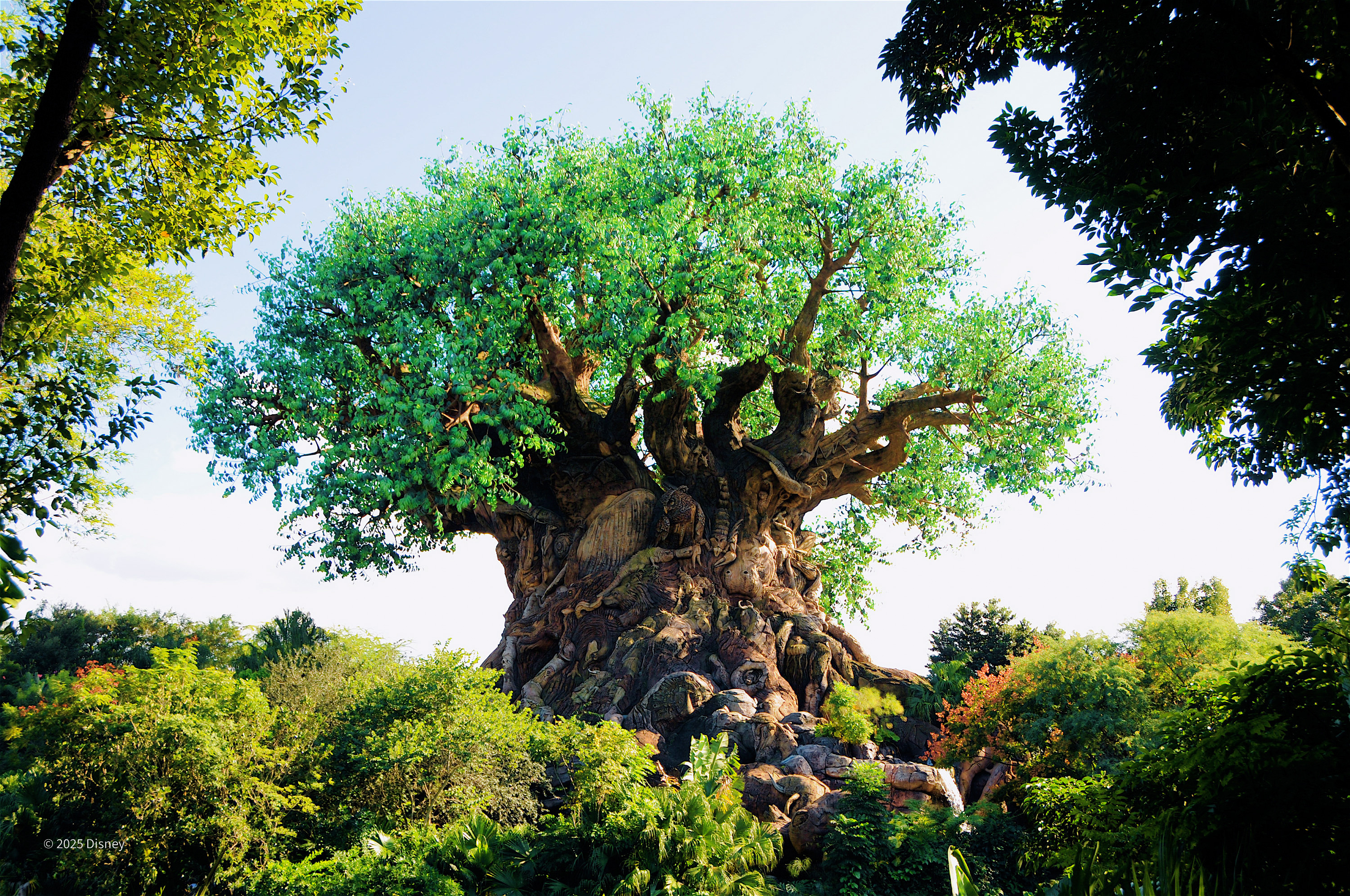 Tree of Life - Disney’s Animal Kingdom Theme Park