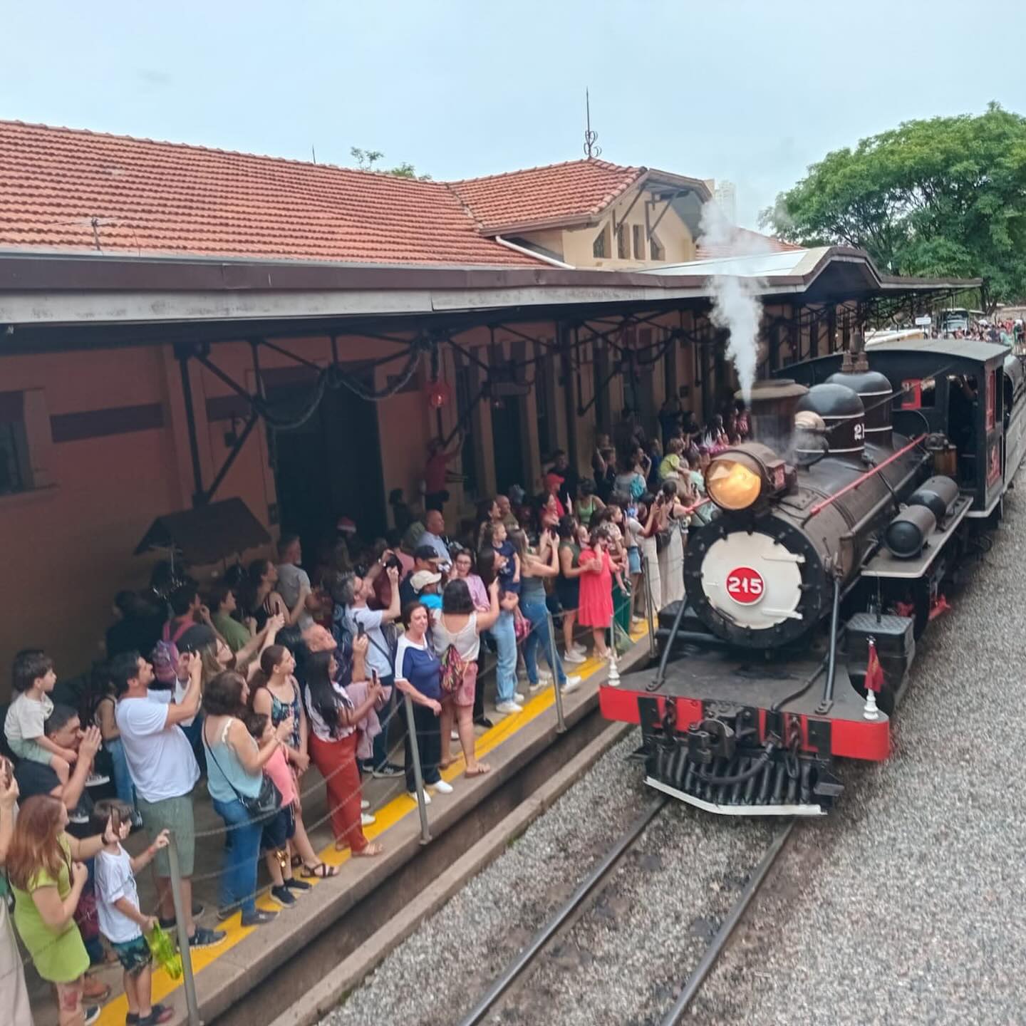 maria-fumaca-campinas