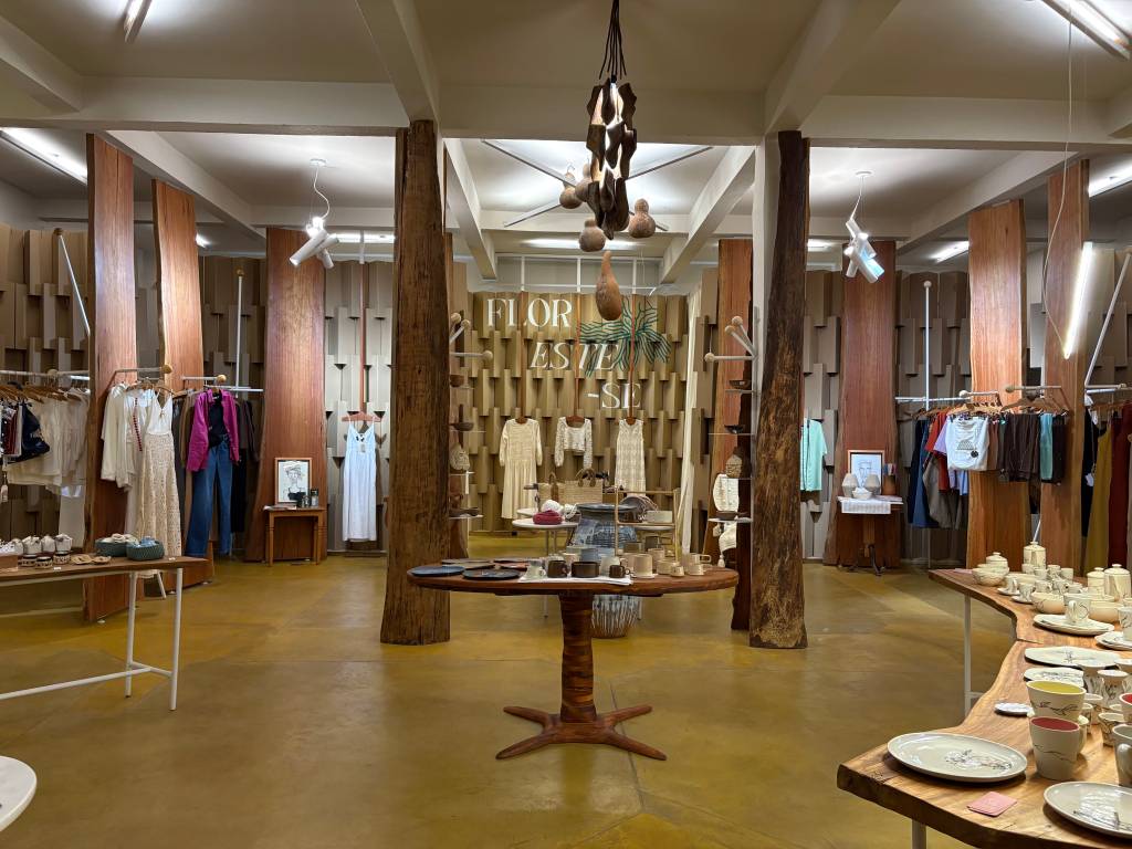 Floresta Galeria, Cunha, Serra da Bocaina, São Paulo