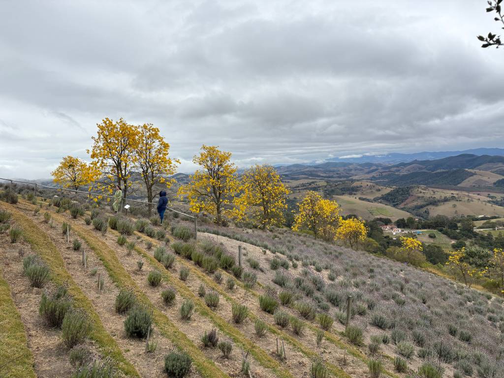 O Lavandário, Cunha, Serra da Bocaina, São Paulo