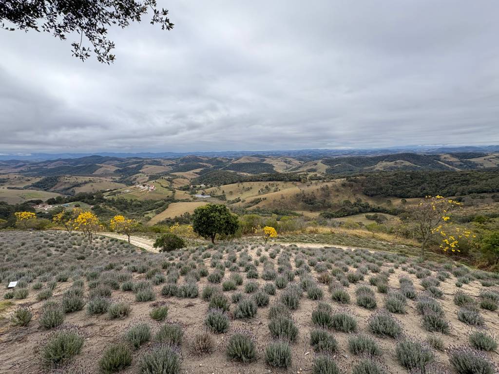 O Lavandário, Cunha, Serra da Bocaina, São Paulo
