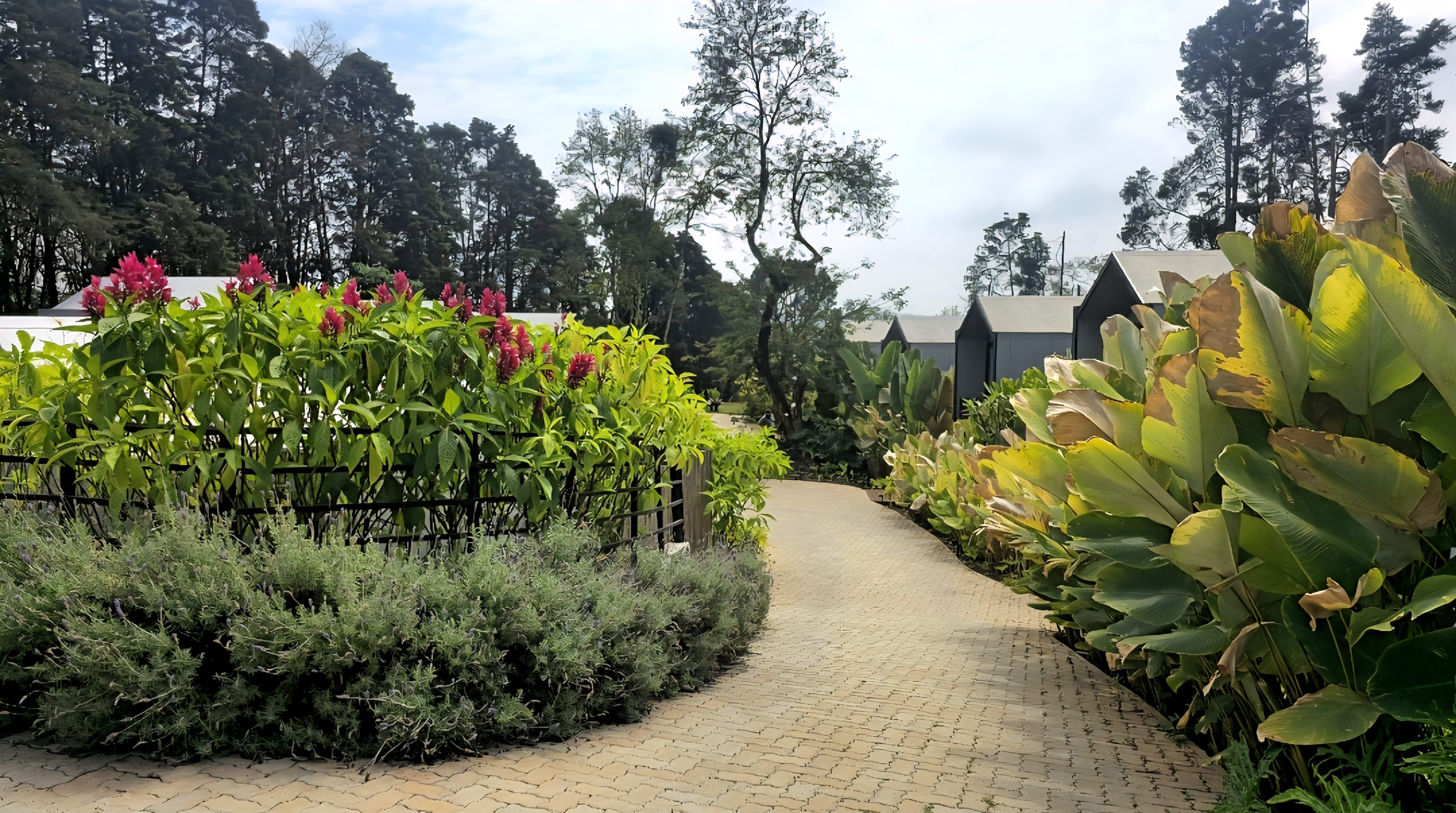 NOR Hotel & Spa, Sao Roque
