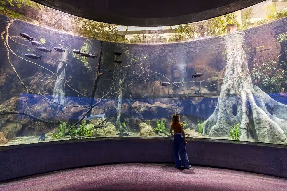 AquaFoz, Foz do Iguaçu, Paraná