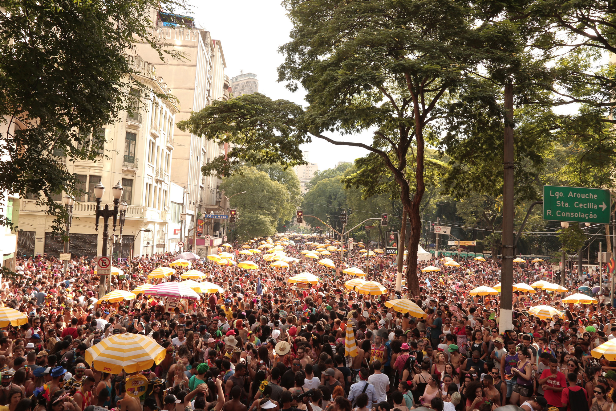 Carnaval Bloco Pinga Ni Mim, São Paulo, São Paulo