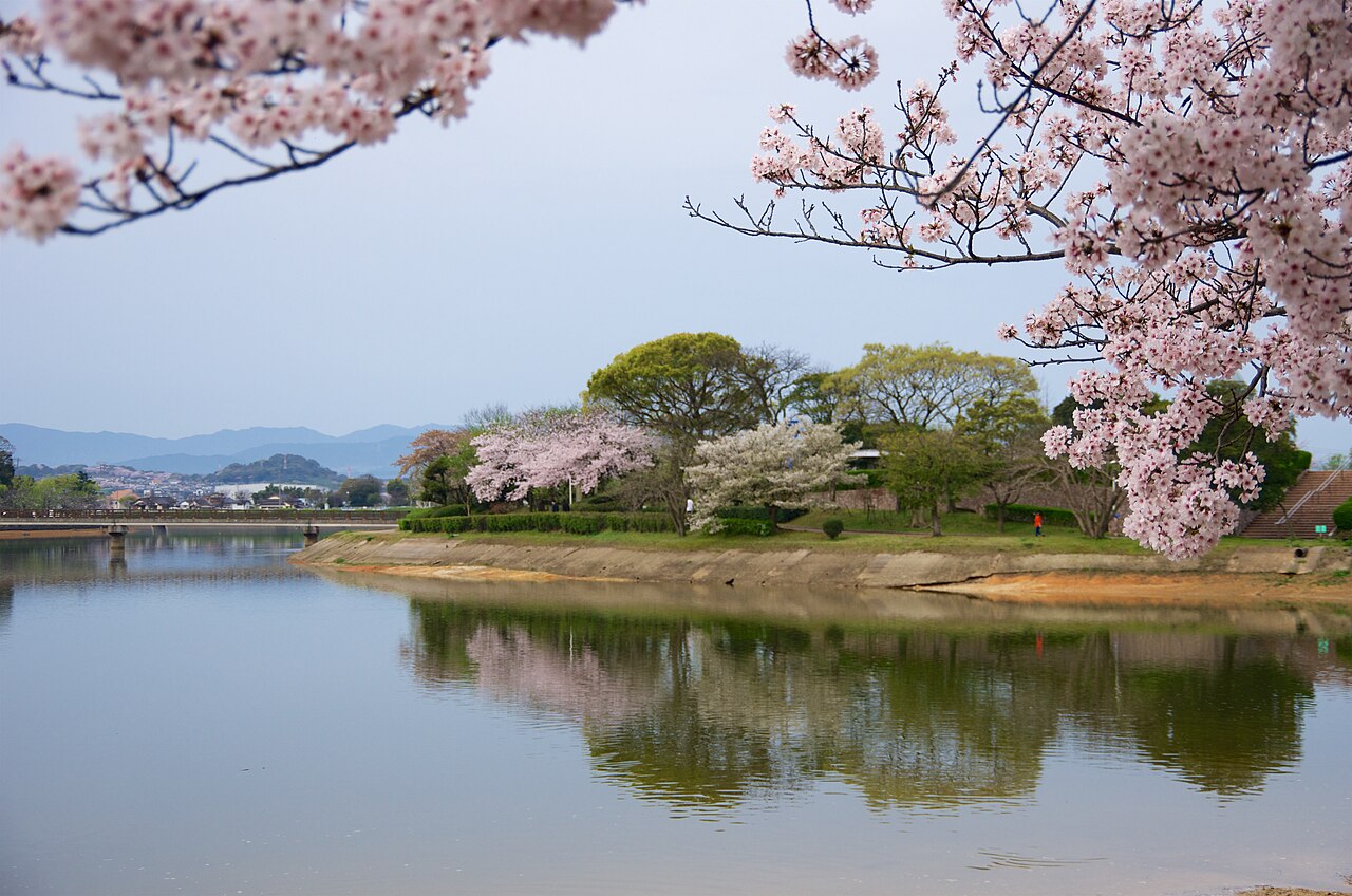 Fukuoka hanami