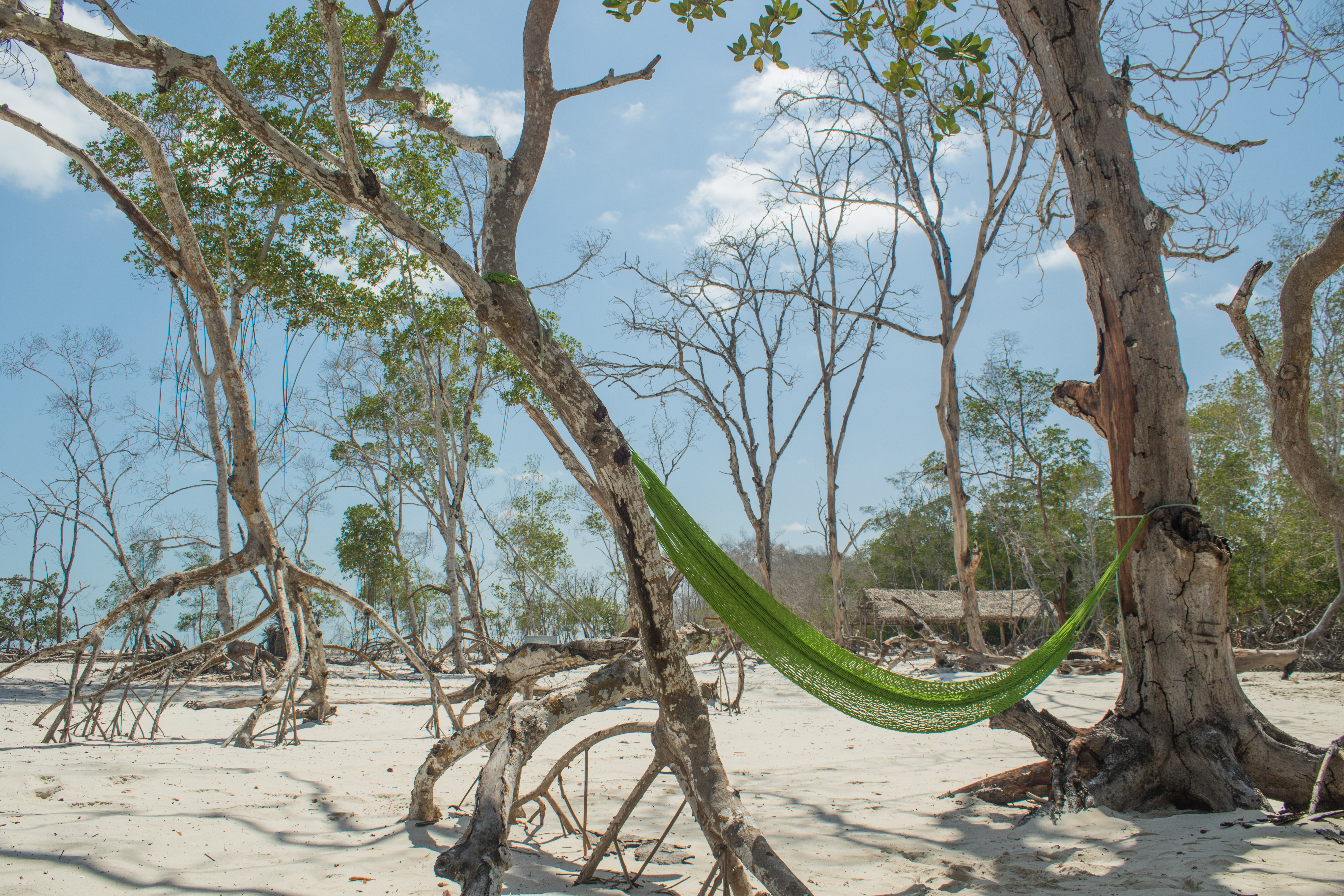 Mangue Seco, Jericoacoara, Cear&aacute;