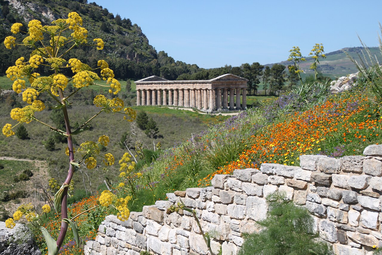 segesta-sicilia