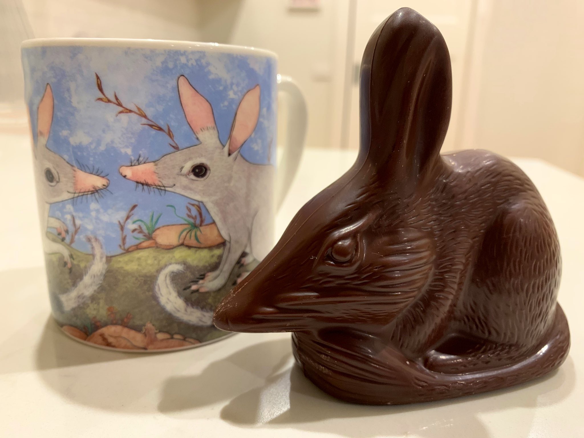 Bilby Pascoa Australia