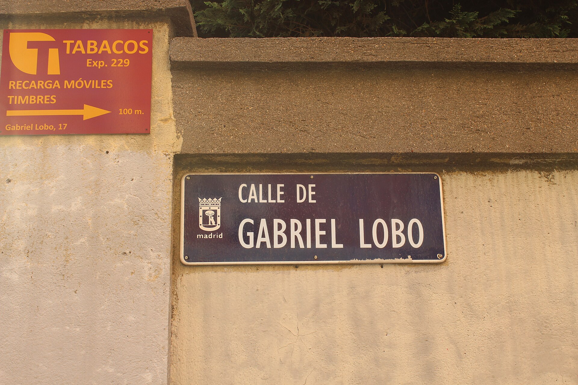 gabrie-lobo-madrid