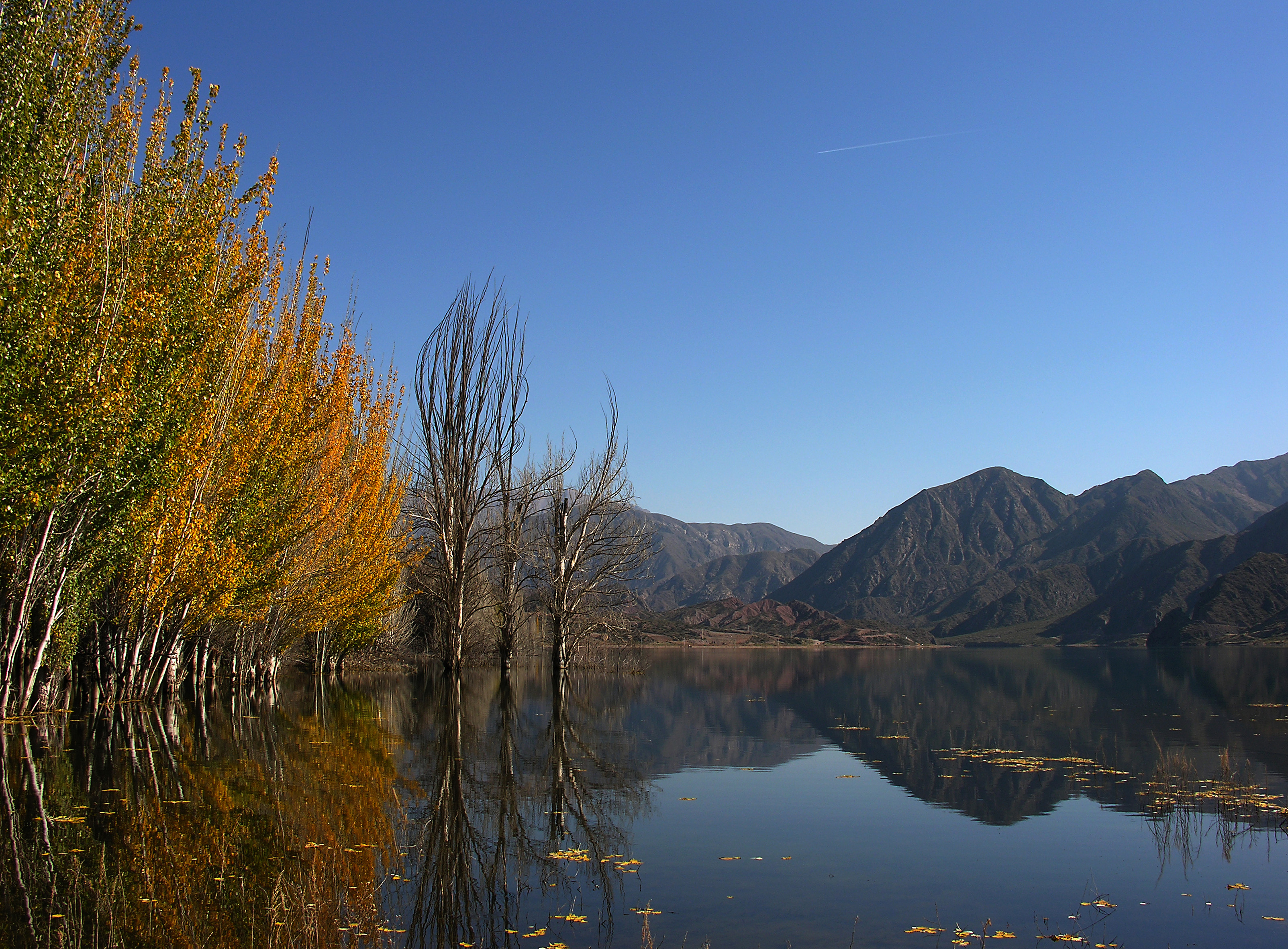 mendoza-outono