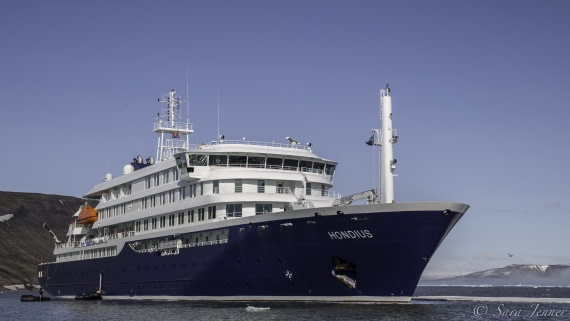 MV Hondius Navio