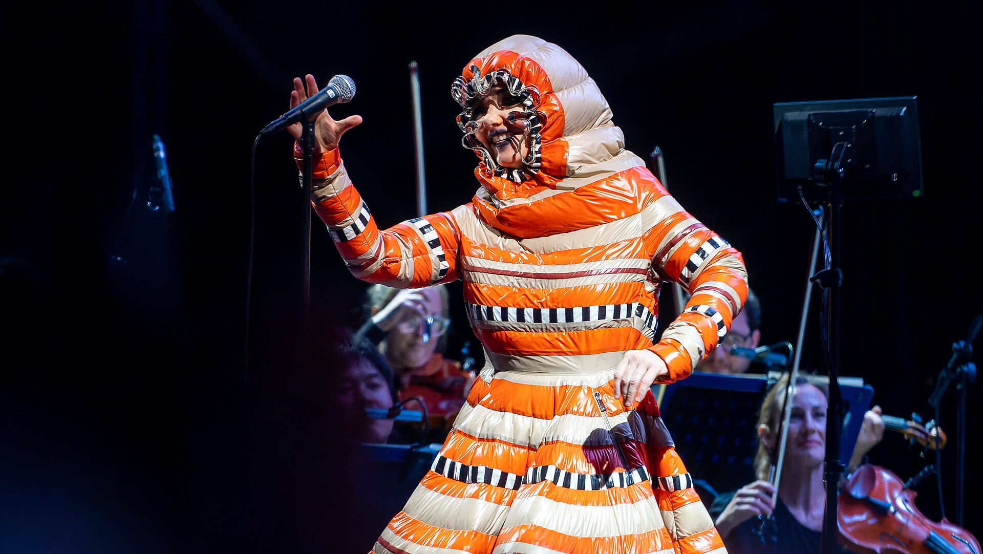 bjork-show