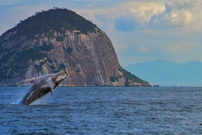 Ilhas Cagarras, Rio de Janeiro, Brasil