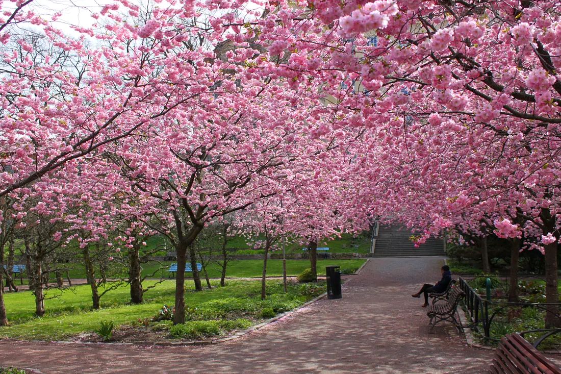 Parque do Carmo, São Paulo, São Paulo