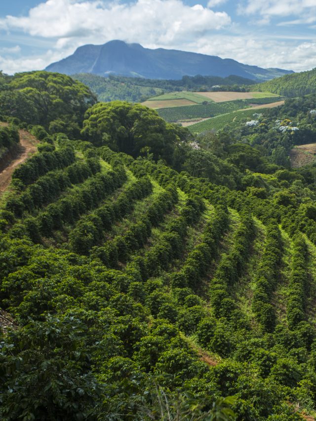 Nova Imigrante, Serra Capixaba, Espírito Santo