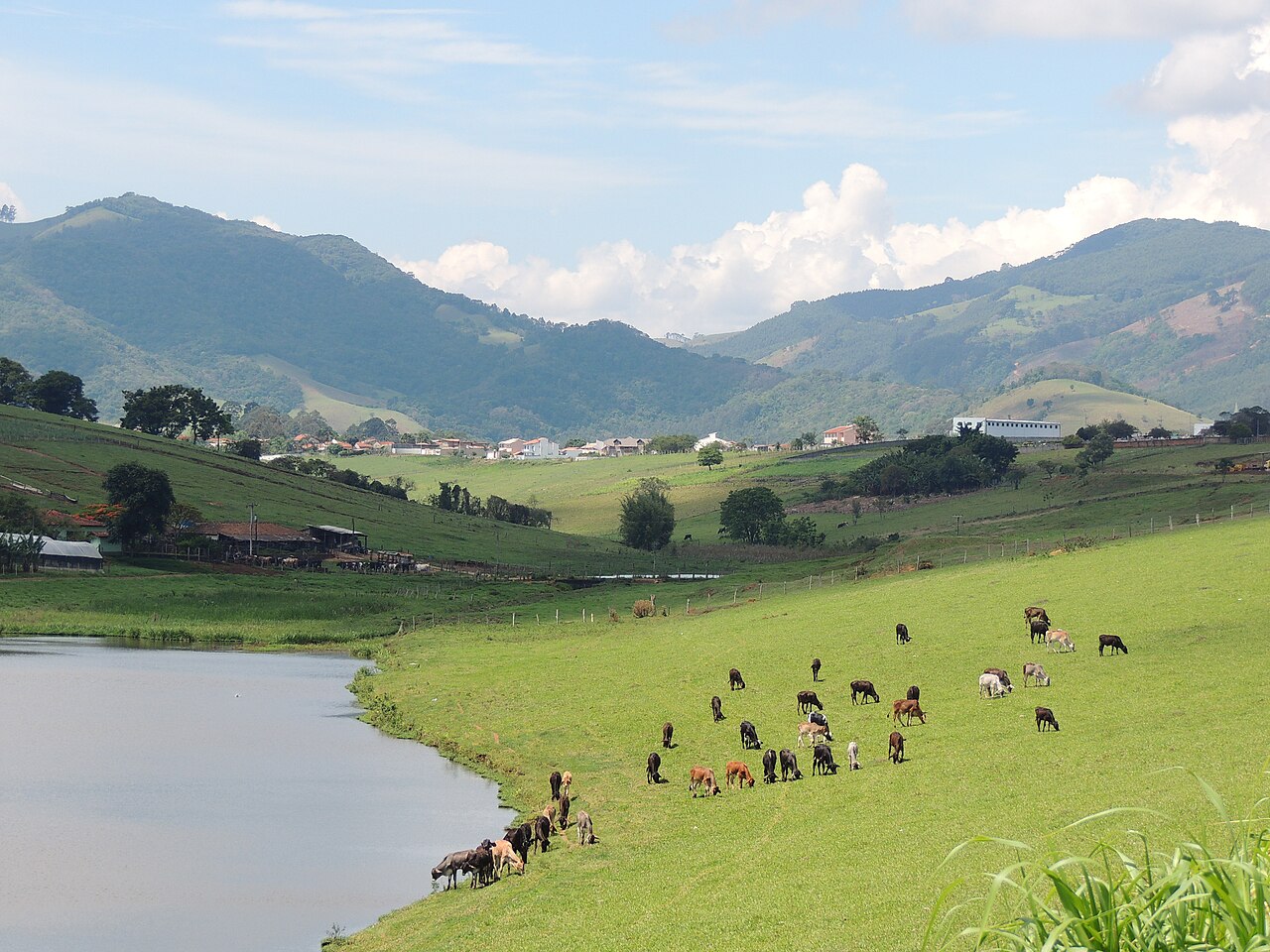 Paisagem rural com um lago à esquerda e um vasto pasto verde à direita, onde dezenas de vacas de diversas cores pastam. Ao fundo, montanhas e um pequeno vilarejo com casas brancas sob um céu azul com nuvens esparsas