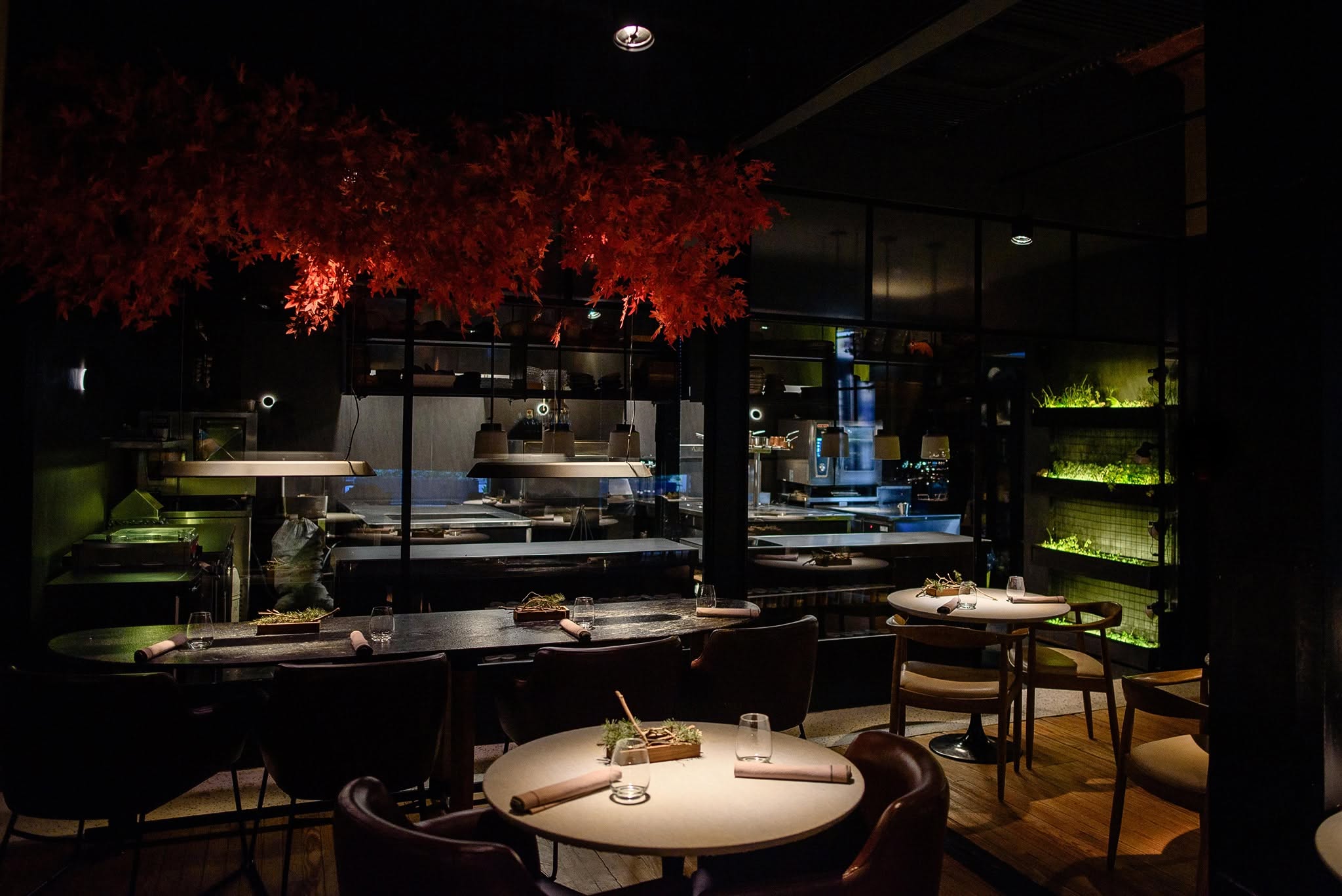 Interior de restaurante escuro com folhas vermelhas penduradas no teto, mesas redondas e ovais com cadeiras estofadas, e uma cozinha aberta ao fundo com iluminação clara e prateleiras com plantas verdes