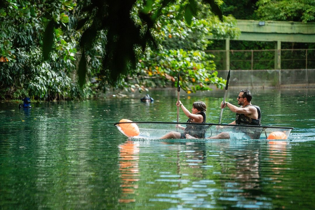 Um homem e uma mulher remam em um caiaque transparente sobre &aacute;guas verdes e calmas, cercados por vegeta&ccedil;&atilde;o densa. Ambos usam coletes salva-vidas escuros e &oacute;culos de sol, com o homem &agrave; direita e a mulher &agrave; esquerda. Boias laranja flutuam nas laterais do caiaque, e a luz do sol reflete na &aacute;gua.