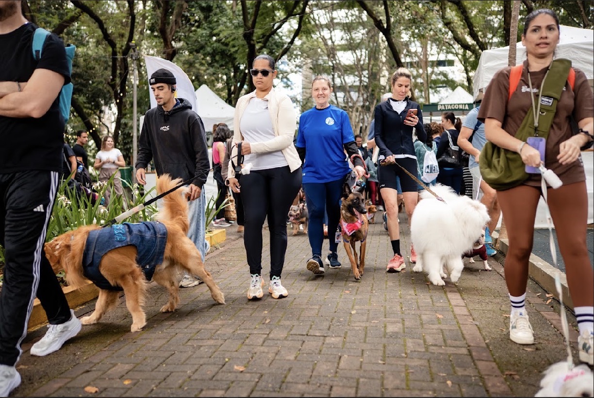 Pessoas passeando com seus cães em um parque arborizado. Um homem de boné preto guia um golden retriever com colete jeans. Ao lado, uma mulher de óculos escuros e casaco claro, seguida por outra de camiseta azul com um cão marrom de coleira rosa. Mais à direita, uma mulher de blusa preta olha o celular e uma de camiseta marrom e bolsa verde segura um pote de água para cães. Um cachorro branco peludo caminha entre elas. O chão é de paralelepípedos e há árvores ao fundo