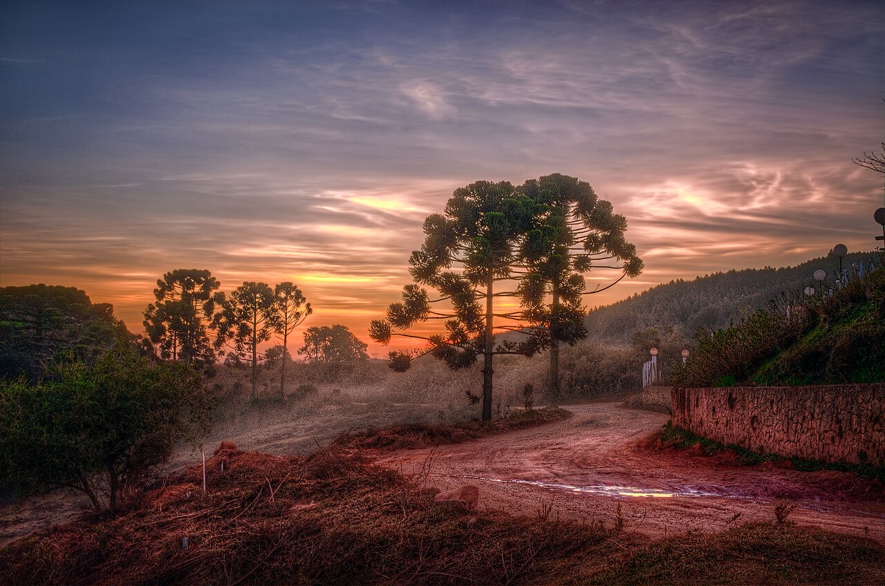 monte-verde-paisagem